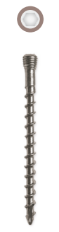 Locking Head Screw